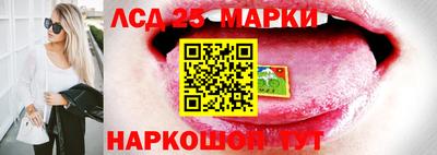 гидропоника Жуковский